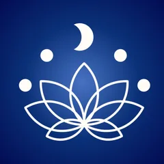 Lectura de Alineación Emocional